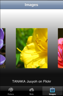 Image non disponible